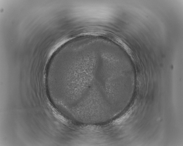 X0000089430779200706291313