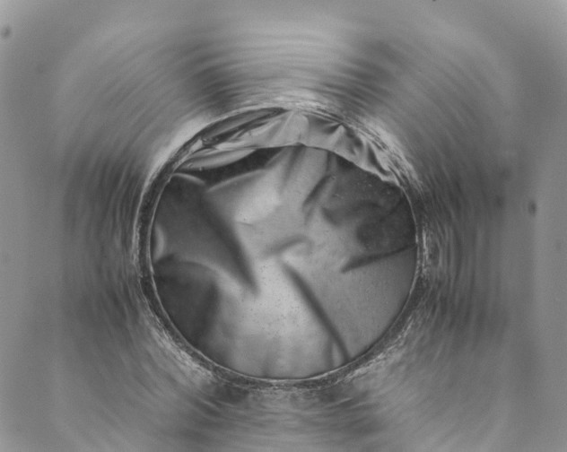 X0000089430780200706291313