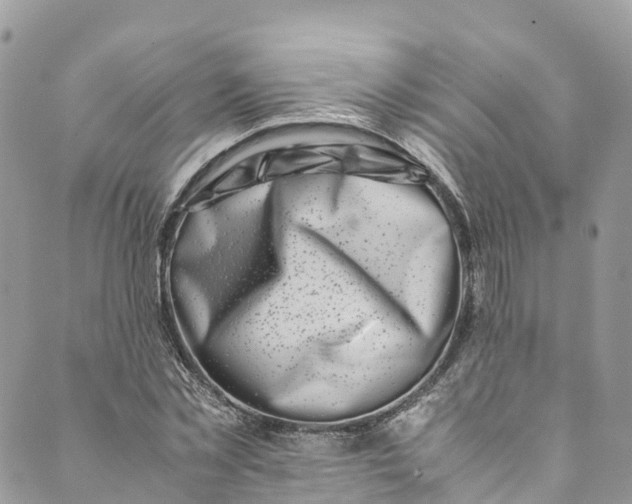 X0000089430781200706291313