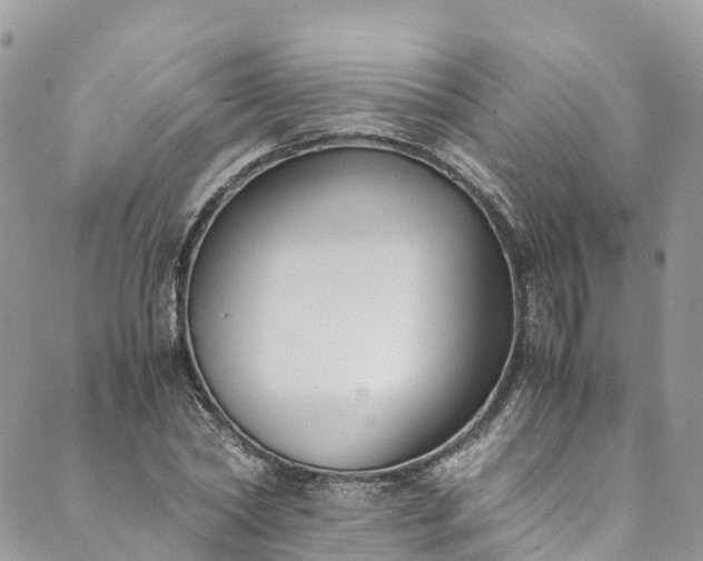 X0000089430782200706291313