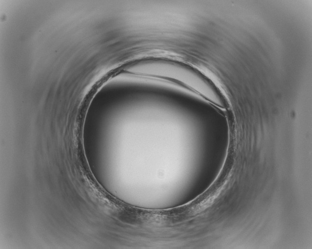 X0000089430783200706291313