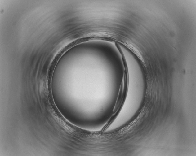 X0000089430784200706291313