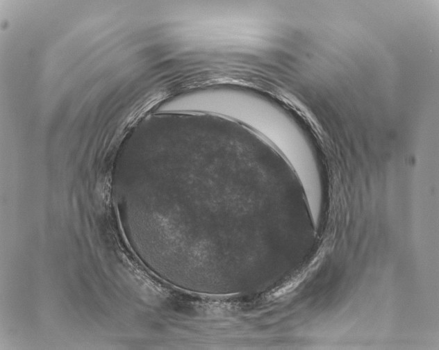 X0000089430785200706291313