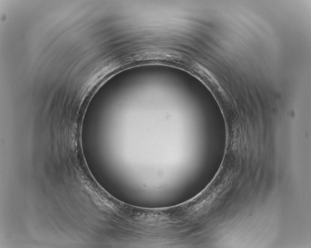 X0000089430786200706291313