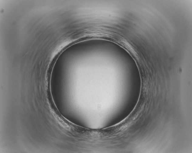 X0000089430787200706291313