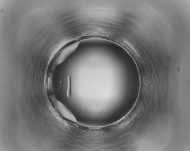 X0000089430788200706291313