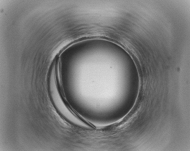 X0000089430789200706291313