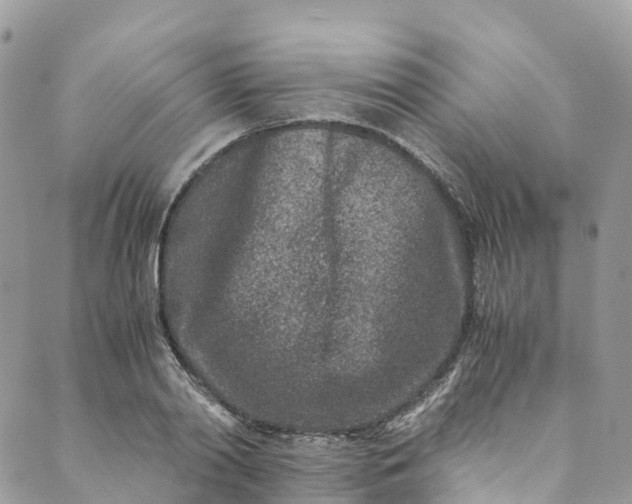 X0000089430790200706291313