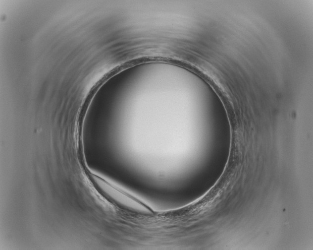 X0000089430791200706291313