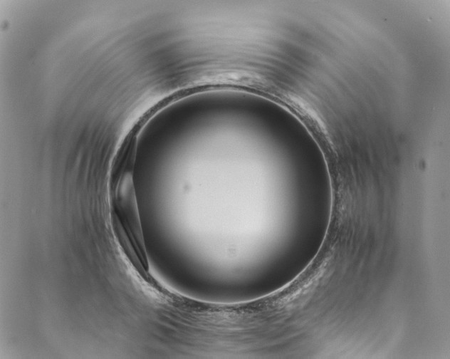 X0000089430792200706291313