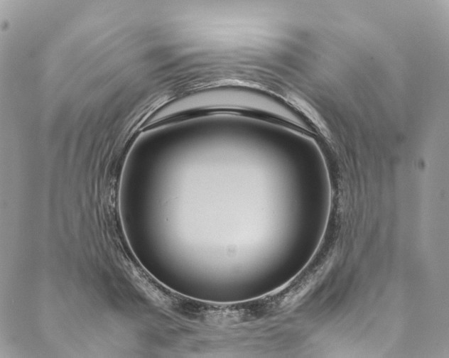 X0000089430793200706291313