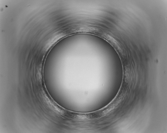 X0000089430794200706291313