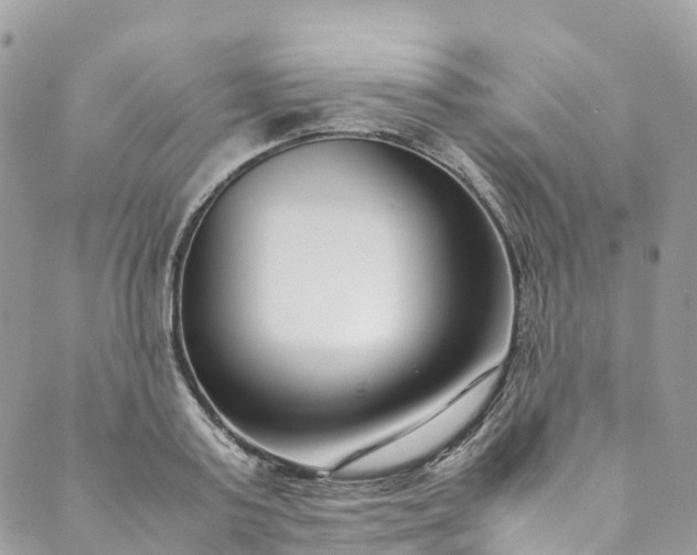 X0000089430795200706291313