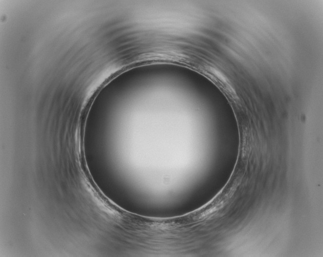 X0000089430796200706291313