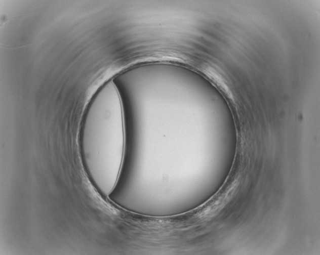 X0000089430797200706291313