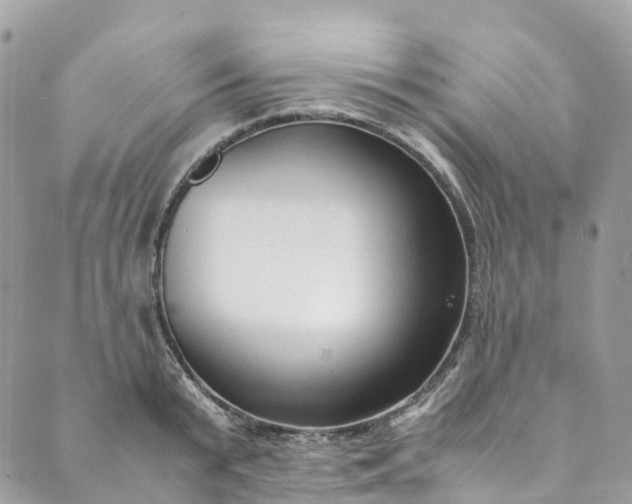 X0000089430799200706291313