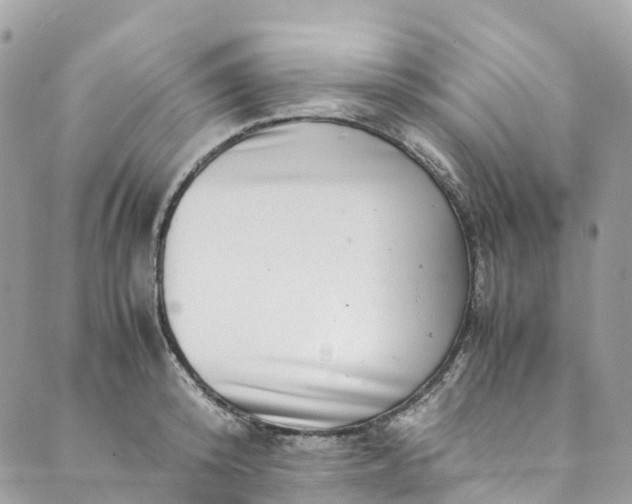 X0000089430800200706291313