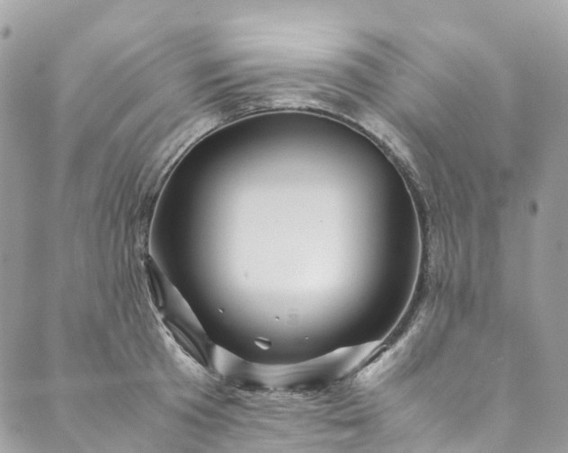 X0000089430801200706291313