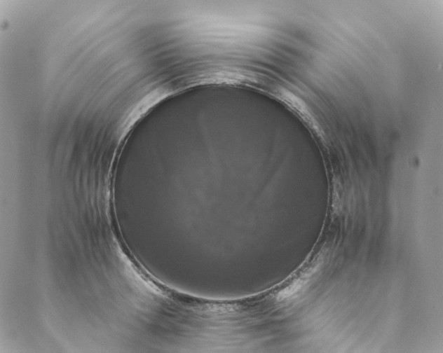 X0000089430802200706291313