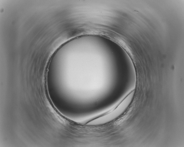 X0000089430803200706291313