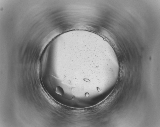 X0000089430804200706291313