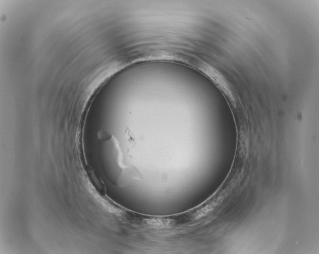 X0000089430805200706291313