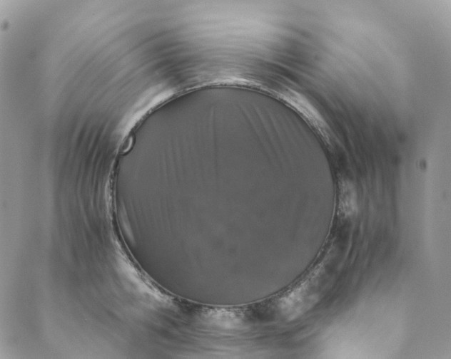 X0000089430806200706291313