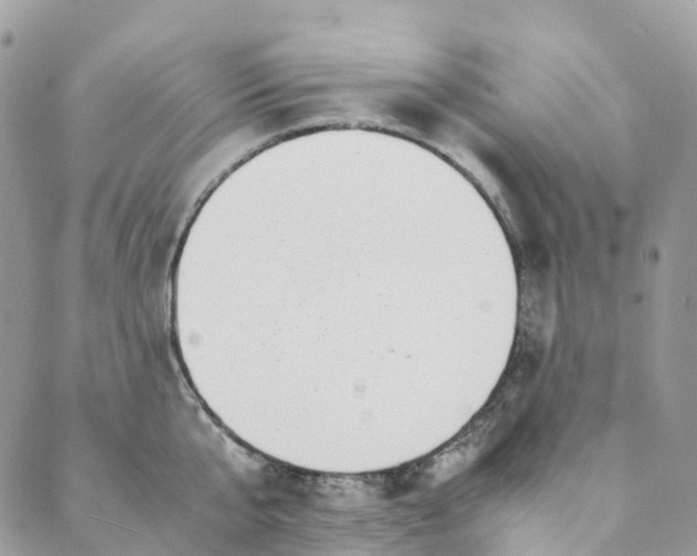 X0000089430807200706291313