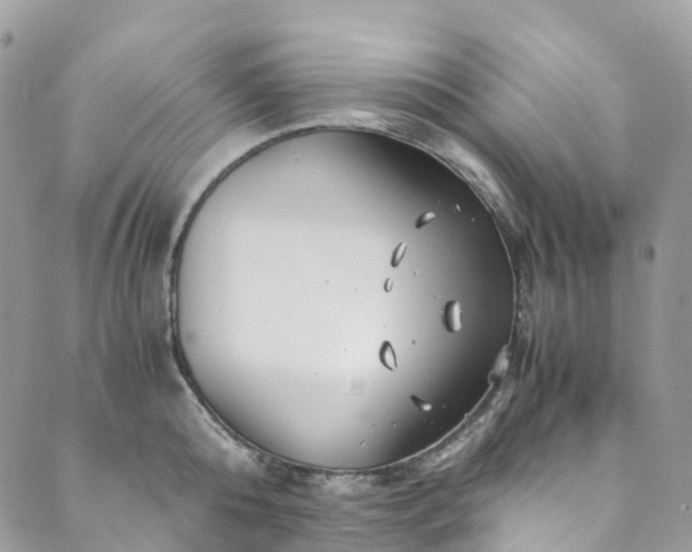 X0000089430808200706291313