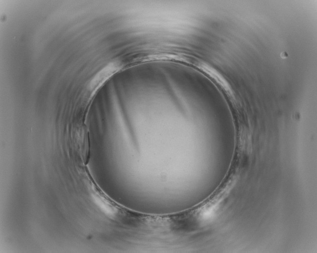 X0000089430809200706291313