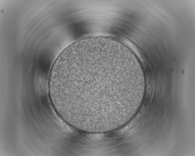 X0000089430810200706291313