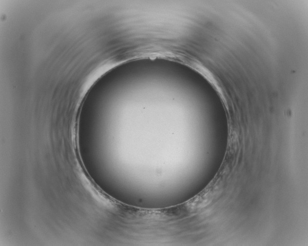 X0000089430811200706291312