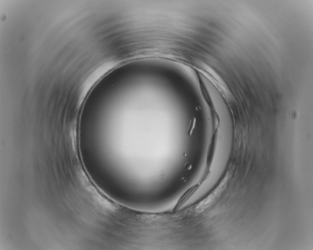 X0000089430812200706291312