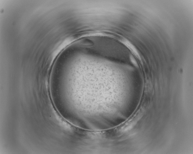 X0000089430813200706291312