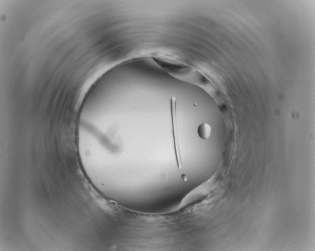 X0000089430816200706291312