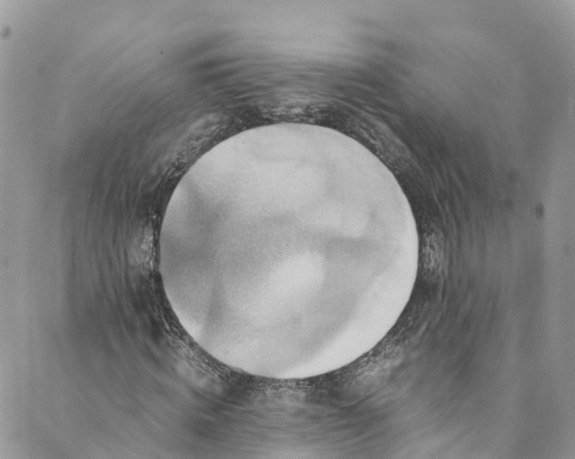 X0000089430820200706291312