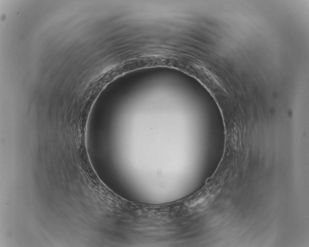 X0000089430821200706291312