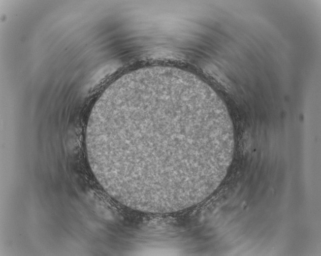 X0000089430824200706291312