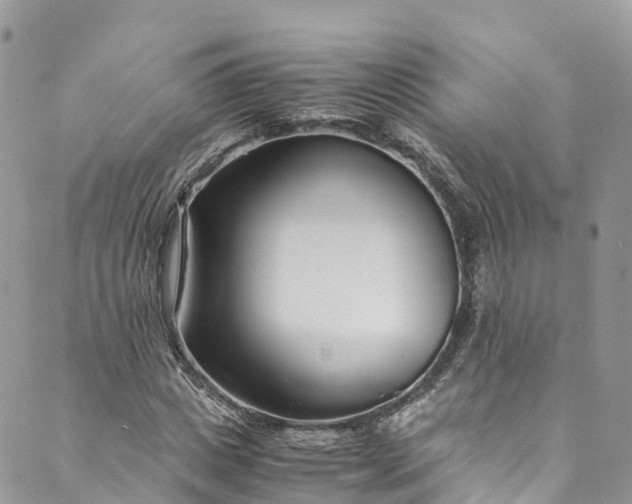 X0000089430825200706291312