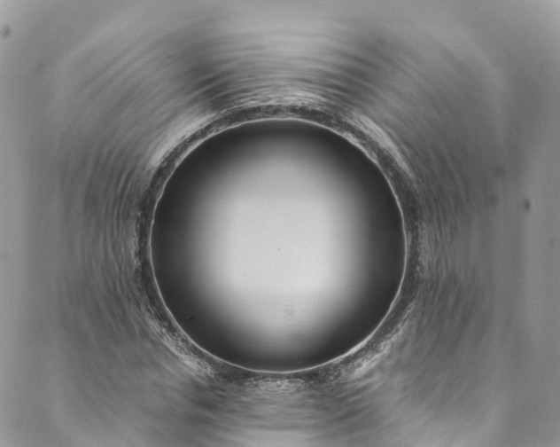 X0000089430826200706291312