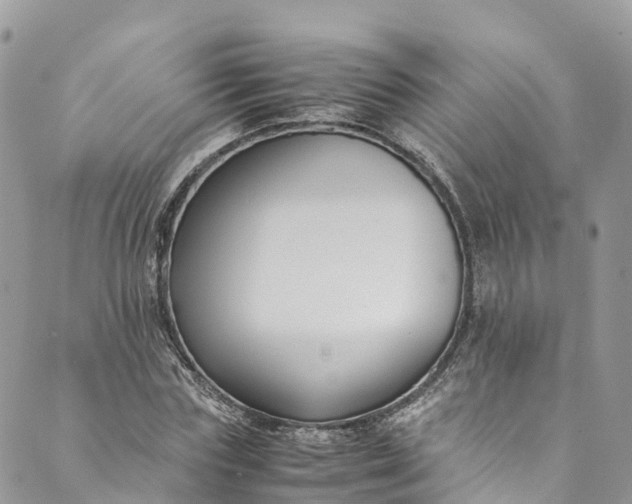 X0000089430827200706291312