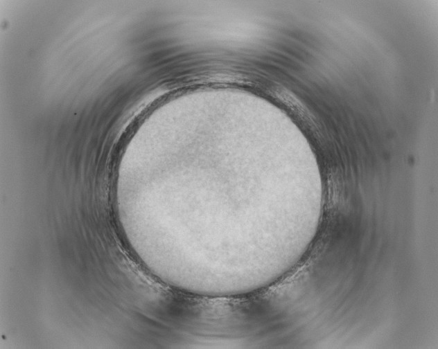 X0000089430828200706291312