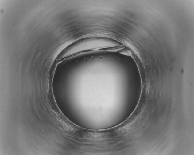 X0000089430829200706291312