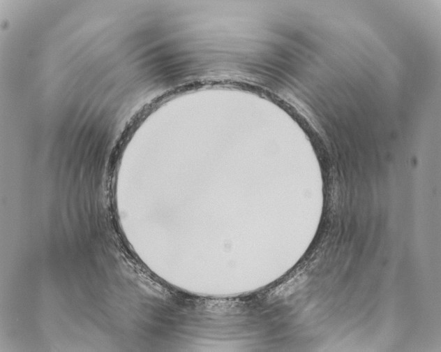 X0000089430832200706291312