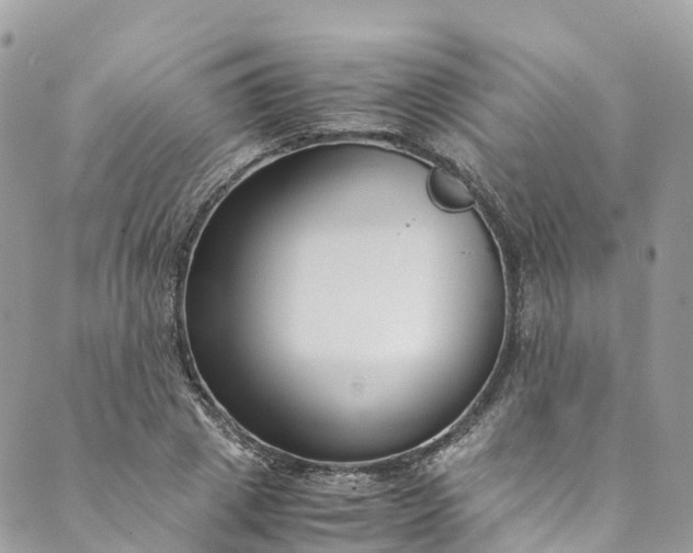 X0000089430833200706291312