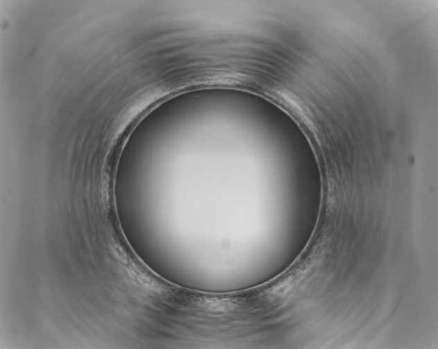 X0000089430835200706291312