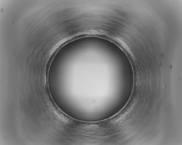 X0000089430837200706291312