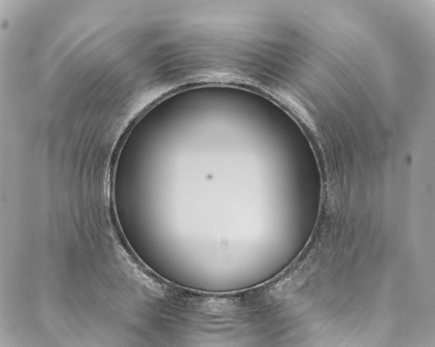 X0000089430839200706291312