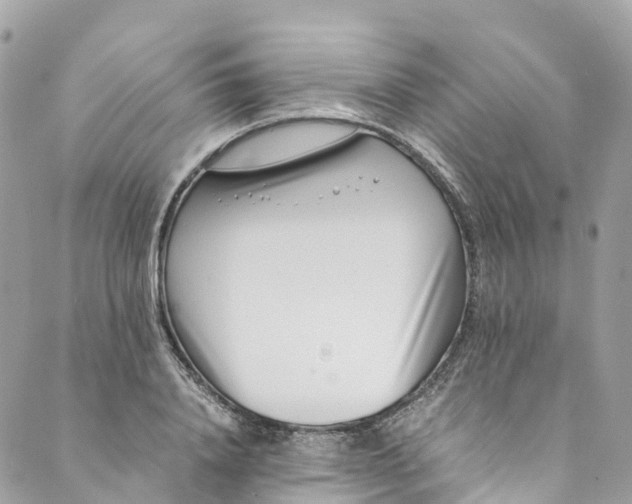 X0000089430840200706291312