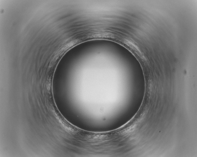 X0000089430841200706291312